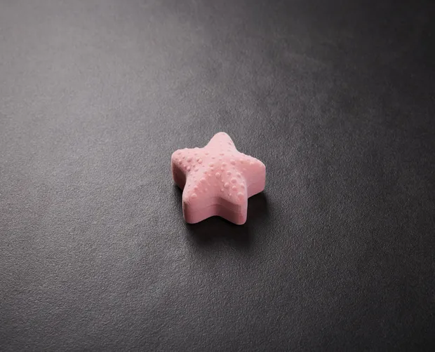 Футляр Морська Зірка рожева П101